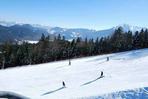 Alpengasthof Götschenalm, Reserva ahora Hostal o pensión Bischofswiesen Distrito de Berchtesgadener Land