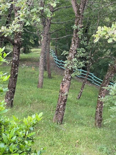 Casale Cipriani, Prenota Bed & breakfast Hotel a Molise con parcheggio, Parcheggio