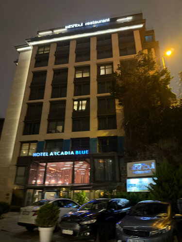 Hotel Arcadia Blue Istanbul, Забронировать Отель Отели Фатих с парковкой, Парковка