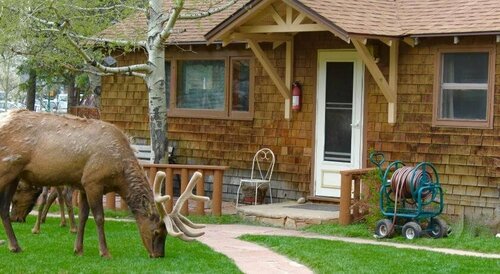 Misty Mountain Lodge, Забронировать Отель Отели в центре Эстес-Парк, в центре