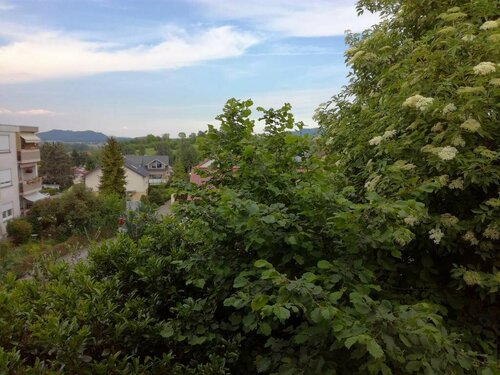 Alte Schreinerei-Auberge Harlekin, Réserver Hôtel Hôtels à Bade-Wurtemberg avec parking, Parking