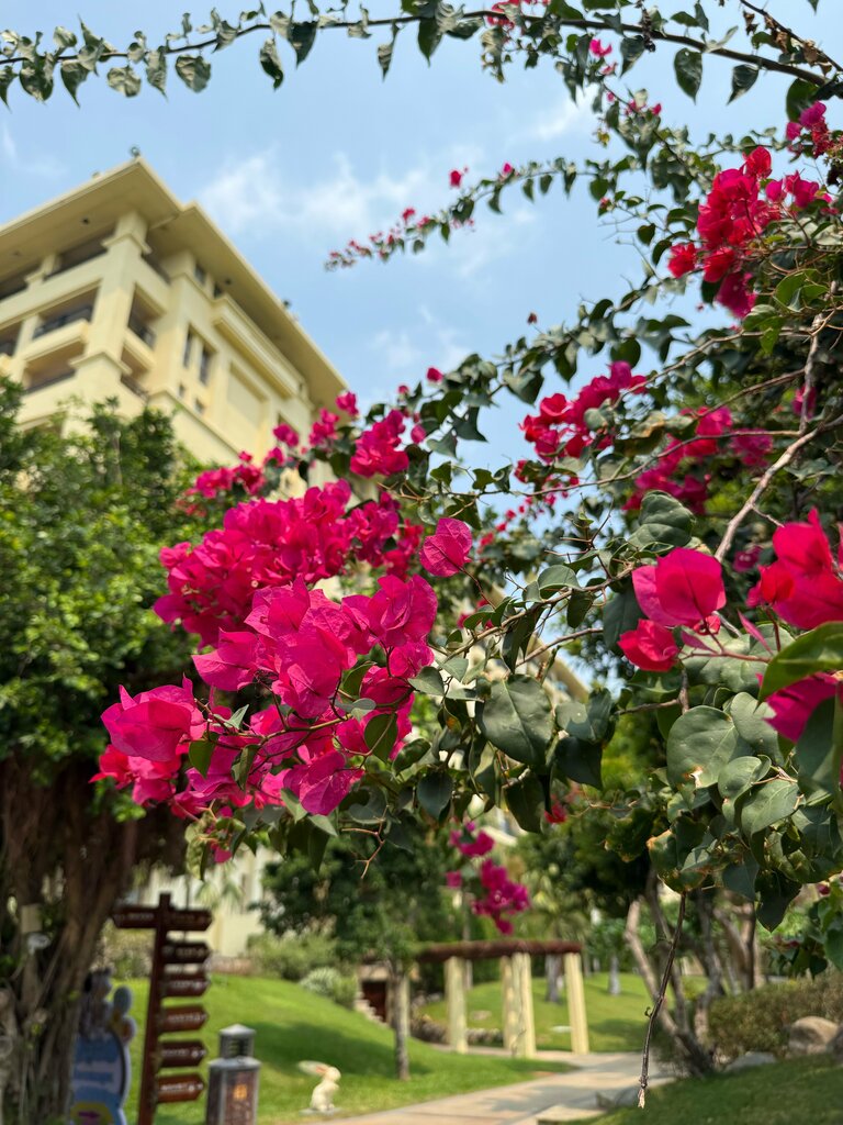 Horizon Resort & SPA