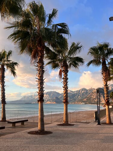 Megasaray Westbeach Antalya, Забронировать Отель Отели Антальи 5 звезд, 5*
