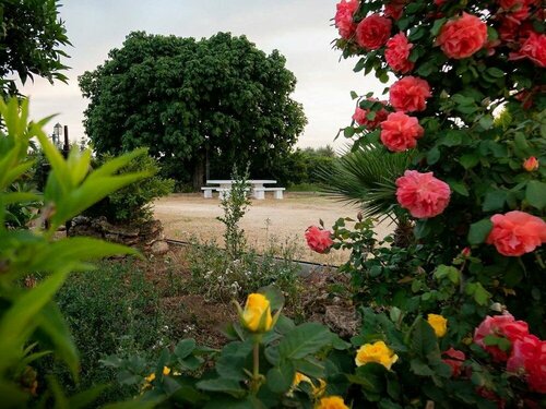B&B Giardino Isabella, Book Bed and Breakfast Hoteller i Murgia med parkering, Parkering