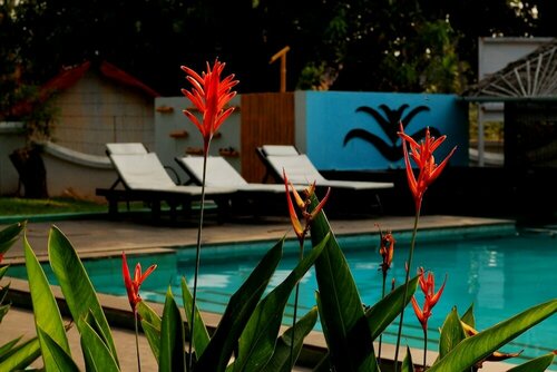 Old Lighthouse Bristow Hotel , Fort Kochi, Забронировать Отель Бизнес-отели Коччи, рядом с Princess Street, 4* 5*