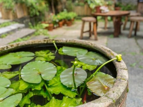 Yangshuo Governor's Mansion Hotel, Забронировать Отель Гуйлинь Гуанси