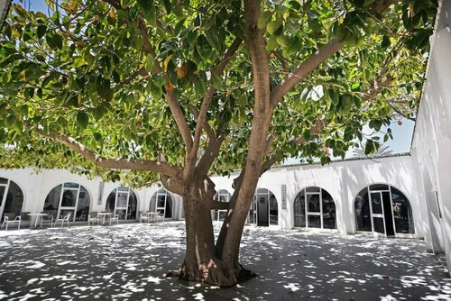Palmyra Club Nabeul, Buchen Sie Hotel Nabeul Nabeul Governorate