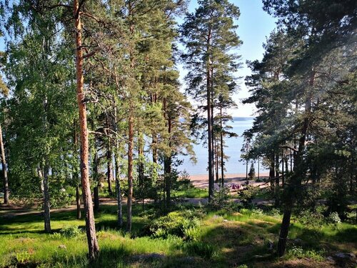 Hotel Rantapuisto, Забронировать Отель Восточный округ Хельсинки