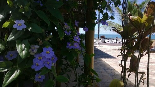 Pousada do Mar, Забронировать Гостевой дом Оливенса Ilheus Coast