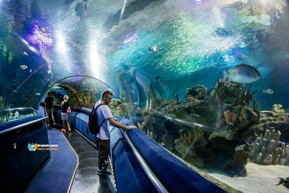 La Rosa Waves Beach Resort And Aqua Park