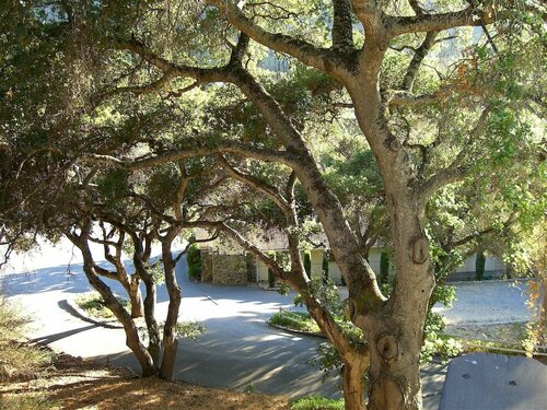 Country Garden Inns, Rezervasyon Otel Carmel Highlands Indiana