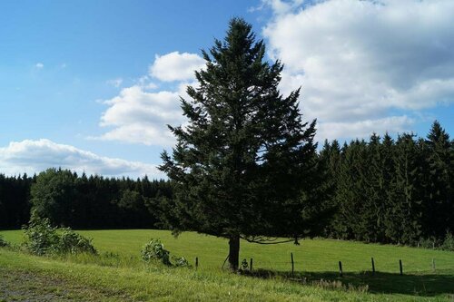 Landgasthof Restaurant Laibach, Забронировать Отель Бад-Берлебург Rothaar Mountains