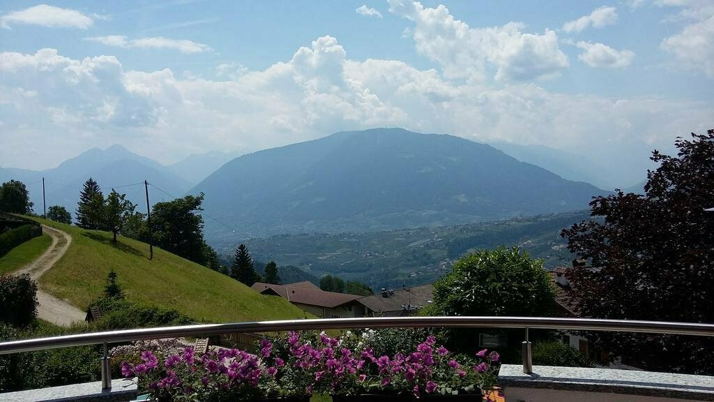 Hotel Alpenhof