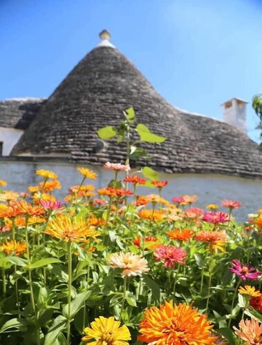 Trulli Del Bosco, Забронировать Отель «постель и завтрак» Альберобелло Bari Province