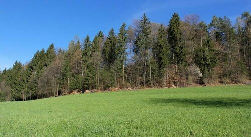 Landhaus Waldfrieden, Book Feriehus Villaer i Steiermark, Villa