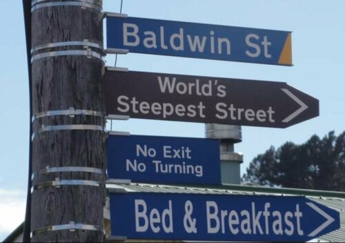 Baldwin Street BNB, Забронировать Отель «постель и завтрак» Отели Данидин 3 звезды, рядом с Dunedin Botanic Garden, 3*