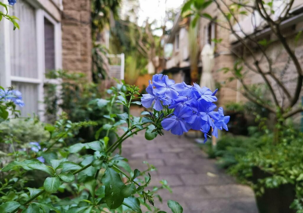 No. 6 Garden Hotel Shenzhen