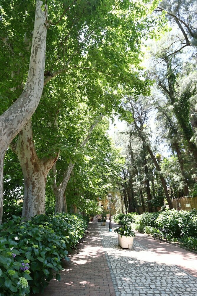 Hotel Varinia Serena