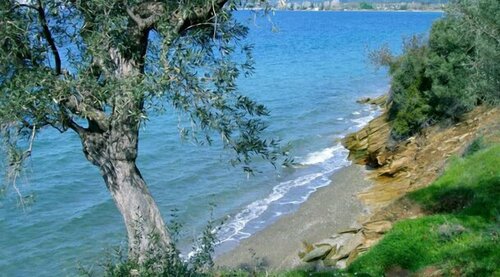 Seralis Pelion, Book Guesthouse Hotels in Thessalia with Breakfast, Breakfasts