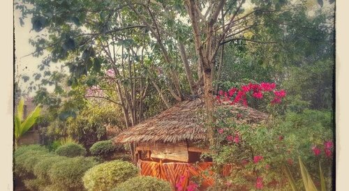 Karen little paradise, Book Hotel Billige hoteller i Nairobi