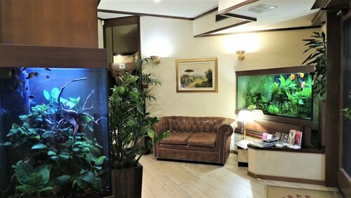 Hotel Accursio, Book Hotel Certosa Milan