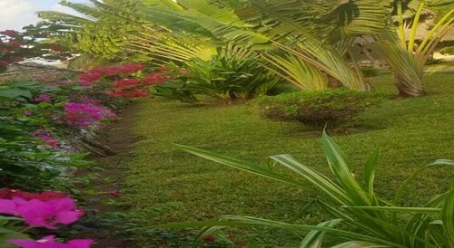 Acacia Gardens Homestay, Rezervasyon Otel Nairobi Yemekli Oteller, Yarım Pansiyon / Tam Pansiyon
