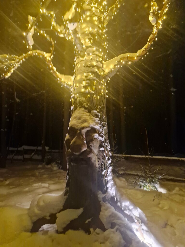 Narnia planet