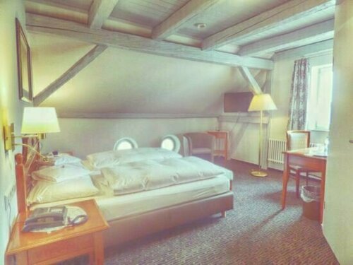 Ehinger Hof, Prenota Hotel Ehingen Baden-Württemberg