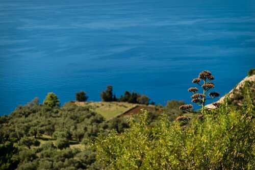 Yades Villas, Забронировать Вилла Бизнес-отели периферии Ионических островов, 4* 5*