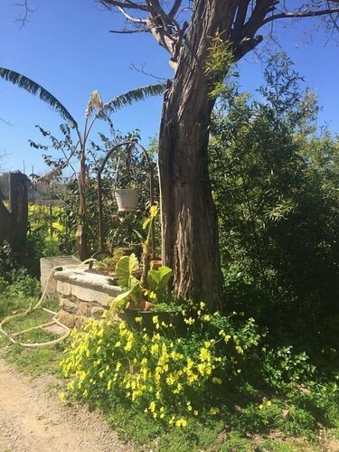 Villa Nicetta, Book Villa Sommerhuse i Sicilien, Hytte