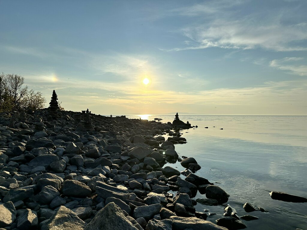Гармония