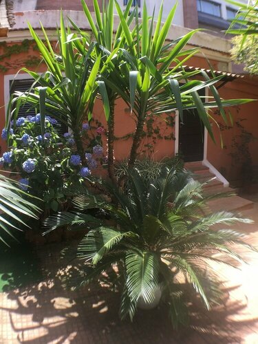 Home Holiday Vatican Museums, Book Hotel 3-stjernede hoteller i Lazio, 3*