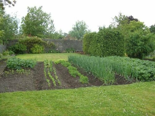 Townsend House Guest House, Reservar Casa de hóspedes Birr Offaly