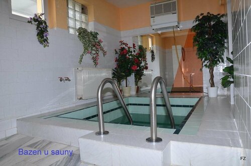 Pension Pastis, Забронировать Отель Отели Czech central mountains с бассейном, Бассейн