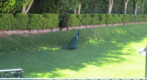 Gran Hotel Hacienda De La Noria, Reservar Hotel Hotéis em Aguascalientes com estacionamento, Estacionamento
