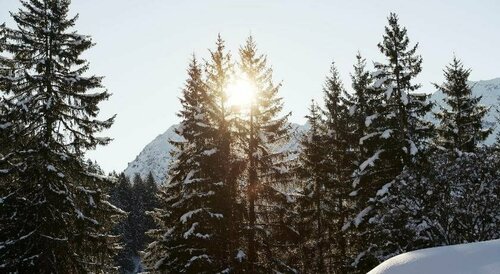 Berghaus Alpenrösli, Reserva ahora Hotel Klosters-Serneus Klosters