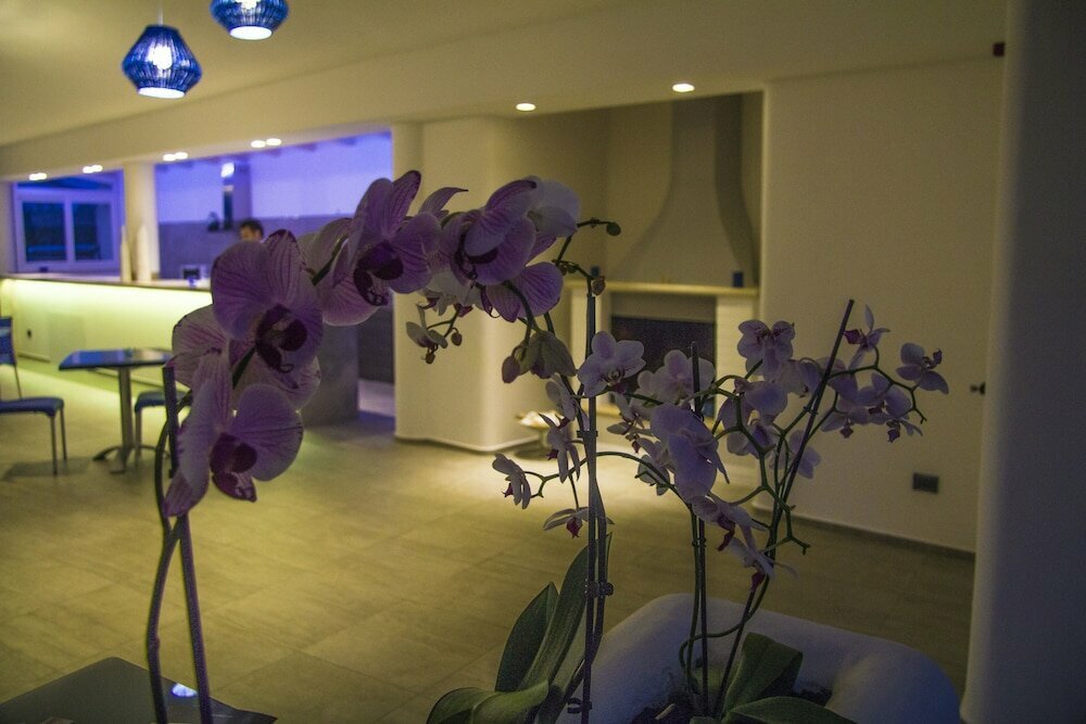 La Bella Trani - Suites and B&B
