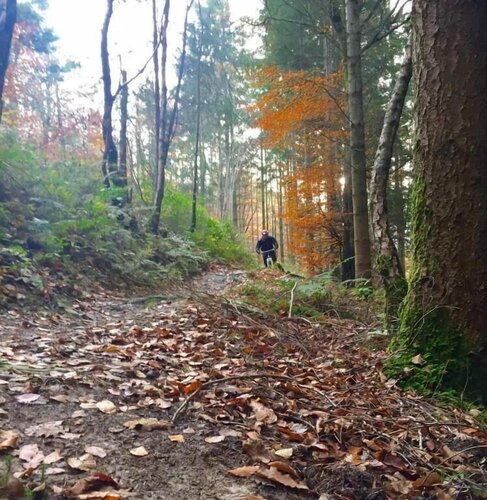 The Vagabond Bunkhouse & Pizzaria - Hostel, Prenota Hotel Betws-Y-Coed 