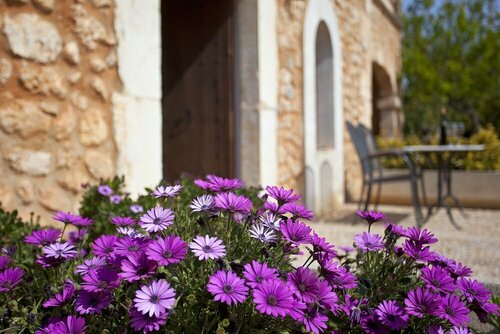 Agroturismo Es Quatre Cantons, Book Landbrugsophold Binissalem Mallorca
