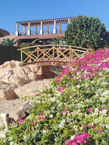 Safir Sharm Waterfalls Resort, Забронировать Курортный отель Отели Шарм-эш-Шейх с парковкой, рядом с Пляж Хадаба, Парковка