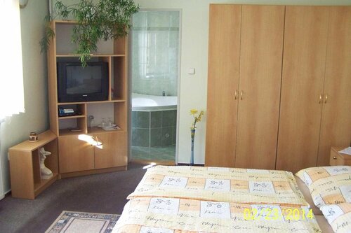 Hotel Alster, Забронировать Отель Отели Злинский края 3 звезды, 3*