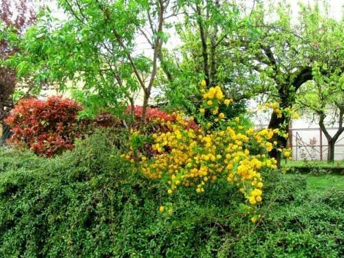 Giaciglio Di Virgilio, Забронировать Отель Вирджилио 