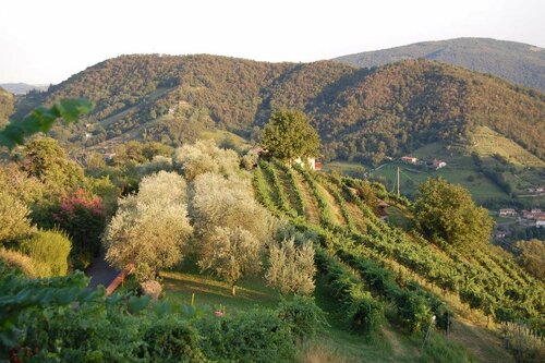Colletto AgriBioRelais, Забронировать Отель Адрара Сан-Мартино Бергамо
