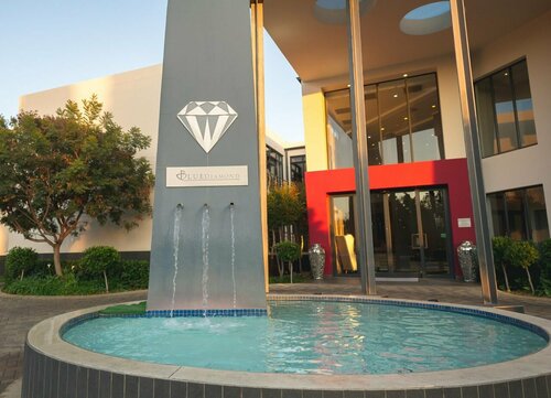 Blue Diamond Boutique Hotel, Prenota Boutique Hotel a Gauteng con piscina, Piscina