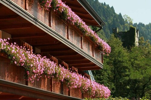 Hotel Gardel