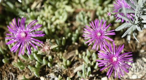 Les Garrigues de la Vallée des Baux, Забронировать Отель Отели Альпий с бассейном, Бассейн