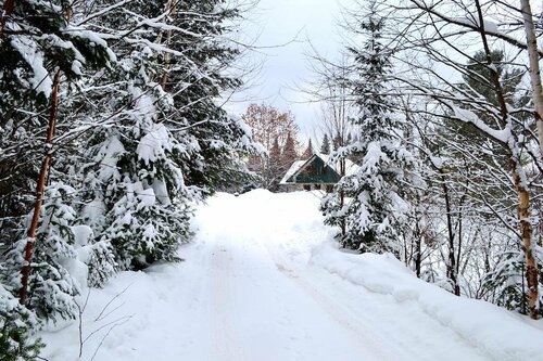 Chalet Rustique CRDS Tremblant, Забронировать Шале Мон-Трамблан Mont Tremblant Region