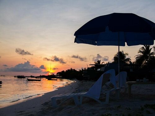 Alvi Star Inn Guest house, Prenota Affittacamere Hotel a Northern Atolls con pasti, Mezza/completa pensione