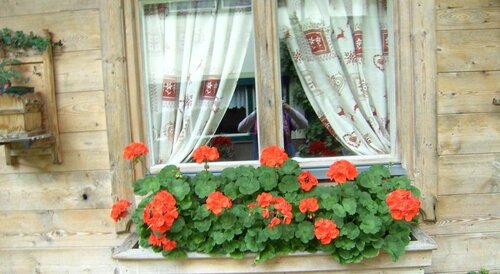 Haus Flörl, Забронировать Отель Бизнес-отели Тироля, 4* 5*
