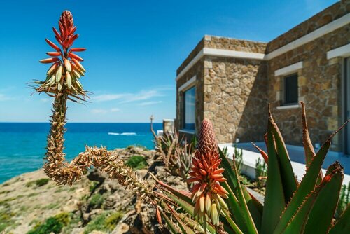 Tambouros Boutique Villas, Забронировать Бутик-отель Василикос Закинф, рядом с Пляж Еракаса